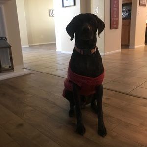 Meet your Posher, Madeline